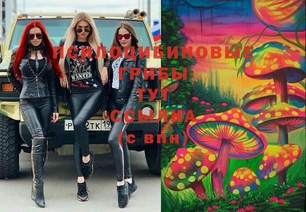 бошки Куйбышев