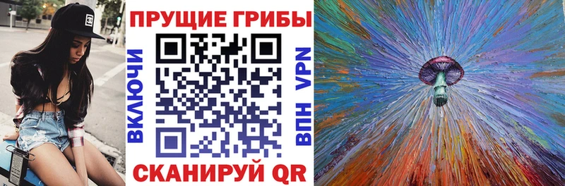 Галлюциногенные грибы Psilocybe  Купить где  Поронайск 
